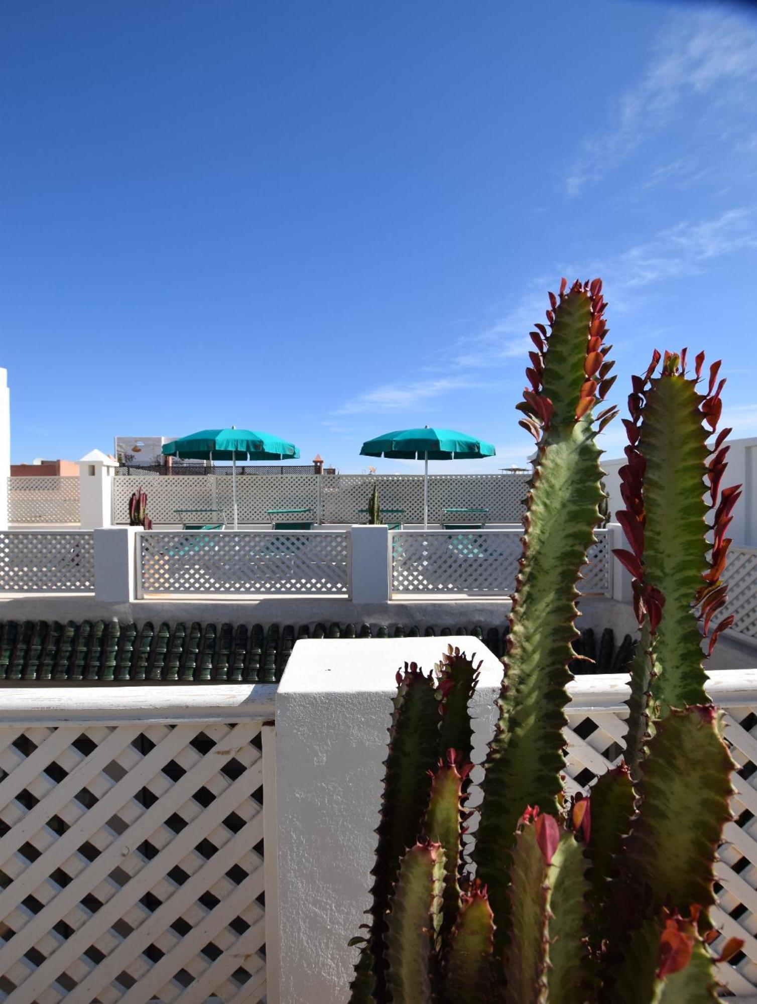 Miostello Lifestyle Riad Marrakech Marrakesh Exterior photo